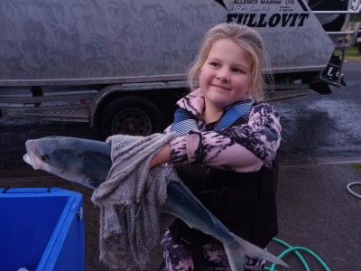 Charlotte - 2.20kg Kahawai