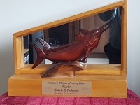 Catch and release marlin 1