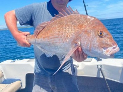 2021 - 2022 Rogers 9.14kg Snapper