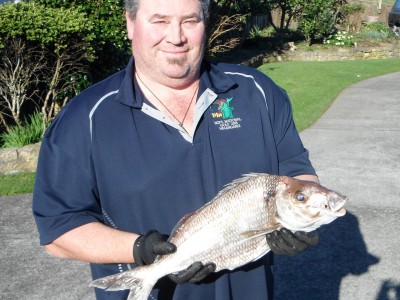 2017-2018 Garry's 2.09kg Tarakihi