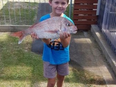 2019-2020 Cooper's 2.03kg