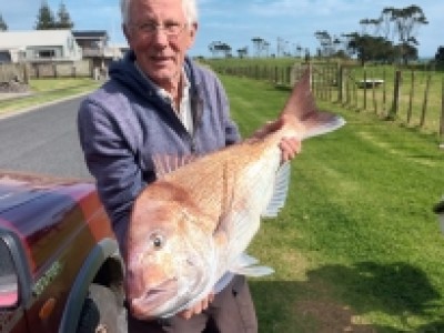 2022 - 2023 Georges 6.81kg Snapper