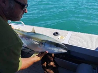 2018-2019 Campbell's 8.85kg King fish