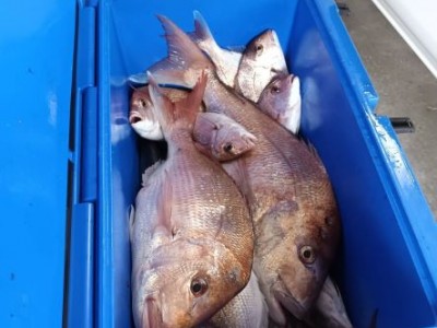 2022 - 2023 Bin full for Sponsors