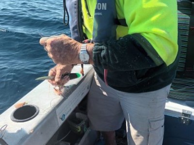 2021 - 2022 Knot a good day fishing