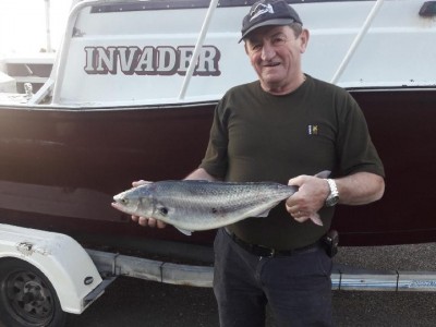 2018-2019 Don's 2.96kg Kahawai