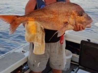 2018-2019 Colin's 10.65kg Snapper