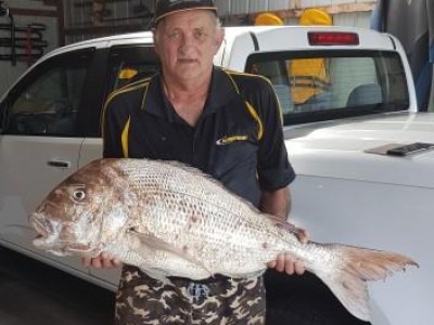2017-2018 Terry's 11.92kg Snapper
