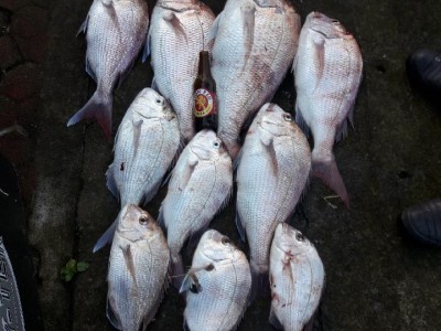 2018-2019 Winter fishing