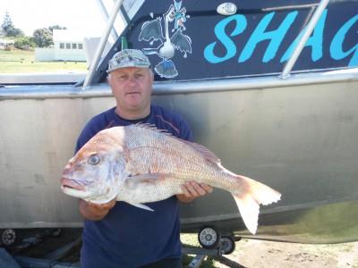 2016-2017 Warren's 8.00kg Snapper